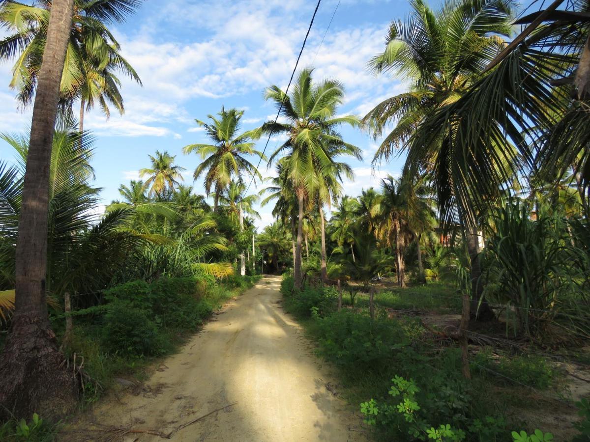 Chill Kite - Pousada Icarai Kite Village Экстерьер фото